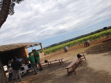 Cargar imagen en el visor de la galería, Las Sensaciones de Son Roig