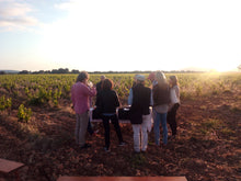 Cargar imagen en el visor de la galería, Las Puestas de Sol de Son Roig